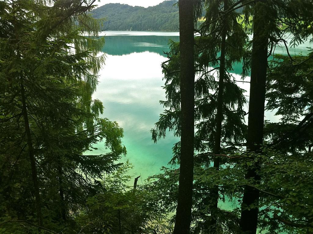 Haus Lisa Appartement Fuschl am See Buitenkant foto